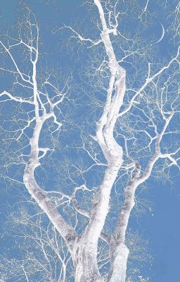 [AKAM] I'll find you in every universe