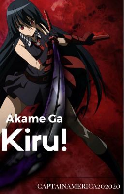 Akame Ga kill.