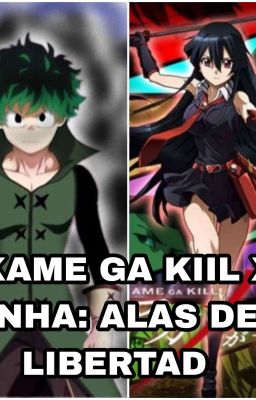 Akame ga kill x bnha: Alas De Liber