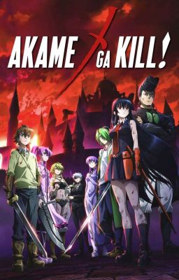 Akame Ga Kills (Akame X male reader)