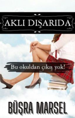 AKLI DIŞARIDA  '' Bir Lise Komedisi ''