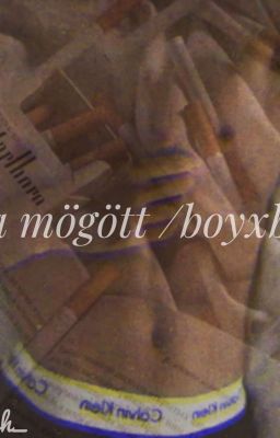 Álca mögött /BoyxBoy/