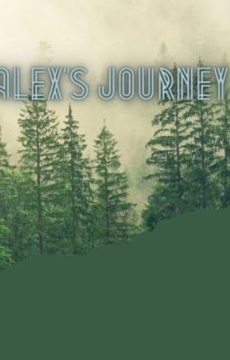 Alex's Journey