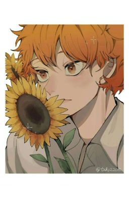 (All Hinata ) Mặt Trời Đỏ nhỏ của Haikyuu (Tạm Drop ༎ຶ‿༎ຶ)