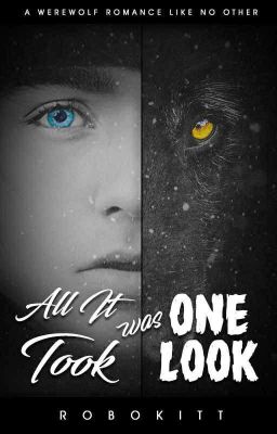 All It Took Was One Look (BoyxBoy) {Book1: Blue Moon Series}[Sample](On Amazon!)