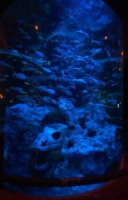 All14casper