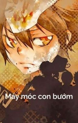  【All27/ABO/A×B】 Máy móc con bướm