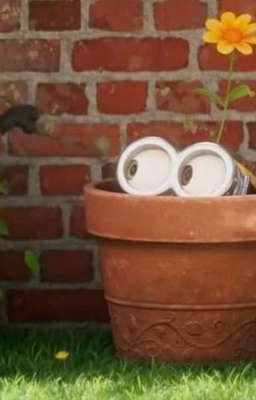 《AllBray》Gâu Gâu!Ẳng Ẳng