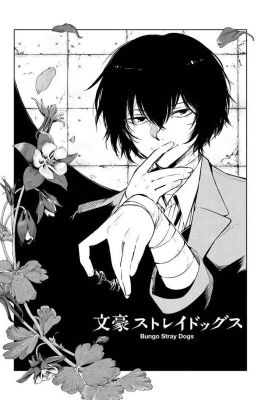 AllDazai - [BSD] Tâm trí chỉ toàn Dazai Osamu