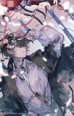 【AllDazai /xem ảnh 】 sai vị nhặt của rơi