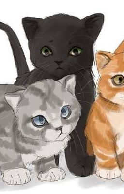 Allegiances (Warrior Cats) 2.0