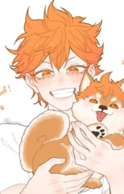 [AllHinata] Ấm Áp Nơi Em