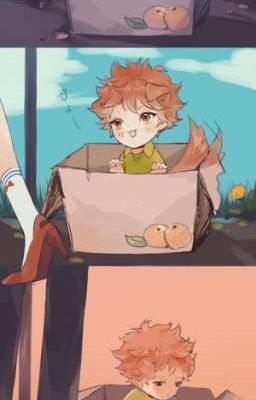 [Allhinata] Mặt trời của chúng tôi!?