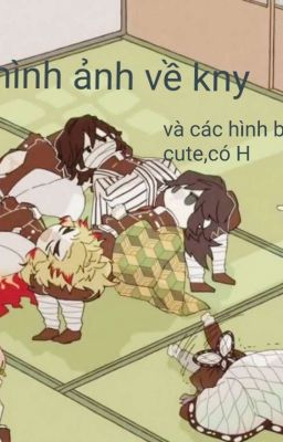 (allkny) CÁC HÌNH về kny 