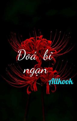 (allkook) Đoá bỉ ngạn