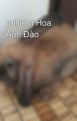 (alltiện) Hoa Anh Đào