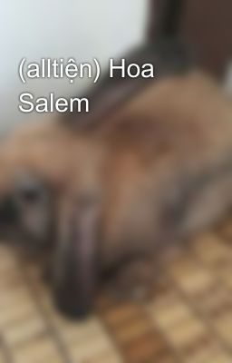 (alltiện) Hoa Salem