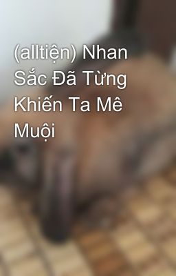 (alltiện) Nhan Sắc Đã Từng Khiến Ta Mê Muội