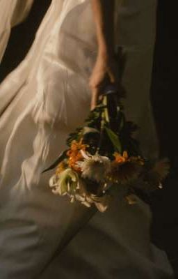 [ AllVietnam ] : Trăng Non