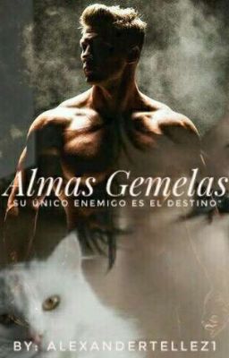 Almas Gemelas.