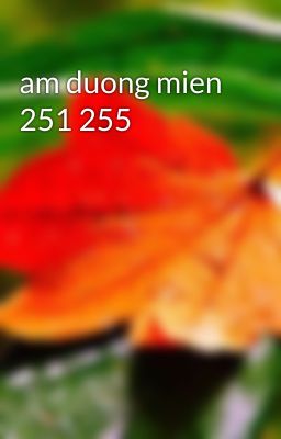 am duong mien 251 255