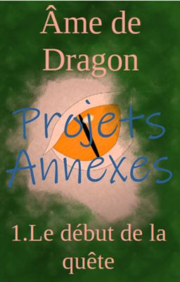 Âme de Dragon :Projets annexes