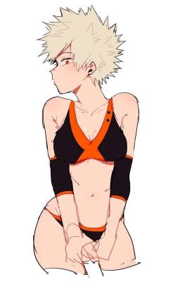 Amigos o ¿más?-( Izuku X Bakugou Fem )