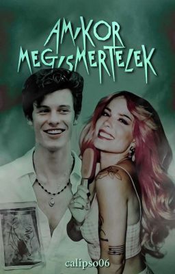 Amikor megismertelek -Shawn Mendes ff.