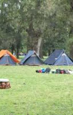 Amor de campamento (Dotchell)