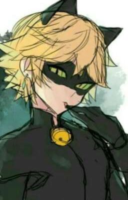 amor o amistad? (chat noir x tu)