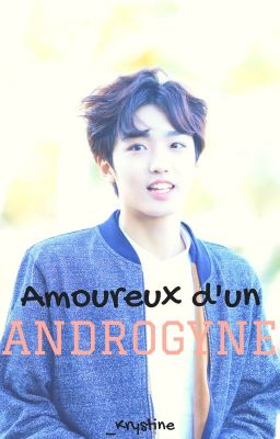 Amoureux d'un androgyne