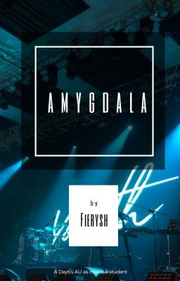 AMYGDALA