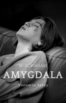 AMYGDALA ᵞᵒᵒⁿᵐⁱⁿ 