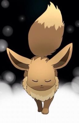 An Eevee Story