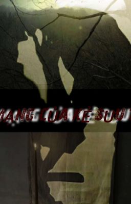 Án Mạng Của Kẻ Sưu Tập 🔞