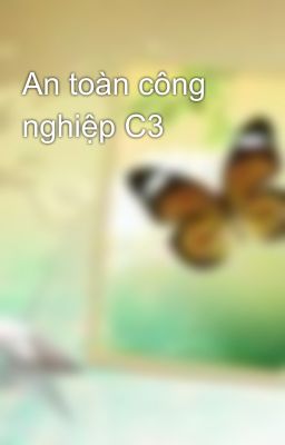 An toàn công nghiệp C3