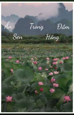 Ẩn Trong Đầm Sen Hồng 