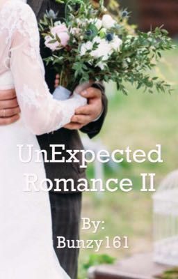 An Unexpected Romance II