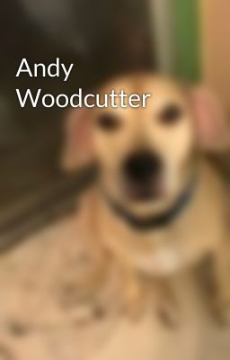 Andy Woodcutter