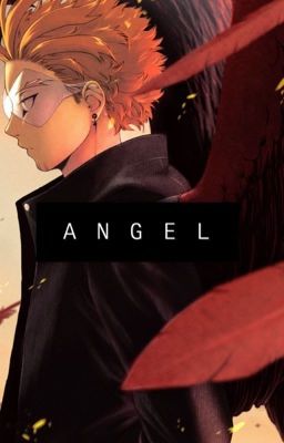 Angel [Hawks x Reader]