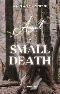 Angel of Small Death | Supernatural