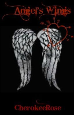 Angel's Wings - The Walking Dead fanfiction (Daryl)