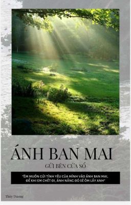 Ánh ban mai gửi bên cửa sổ