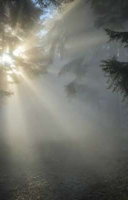 Ánh sáng của tôi