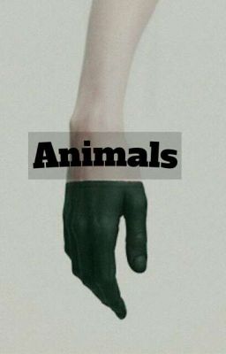 Animals [Rollenspiel]