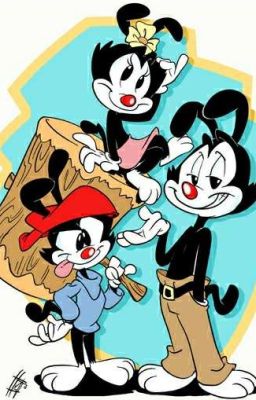 Animaniacs X Reader 