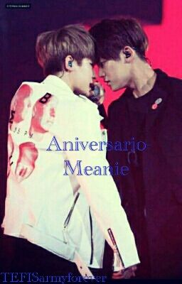 Aniversario- MEANIE [Adaptación] +18