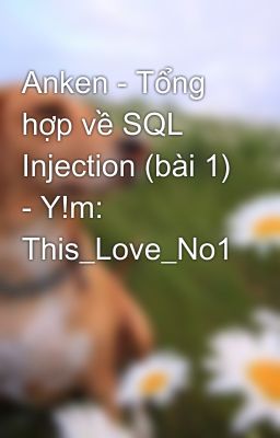 Anken - Tổng hợp về SQL Injection (bài 1) - Y!m: This_Love_No1