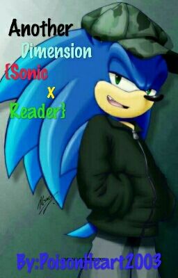 Another Dimension {Sonic x Reader} •COMPLETED•