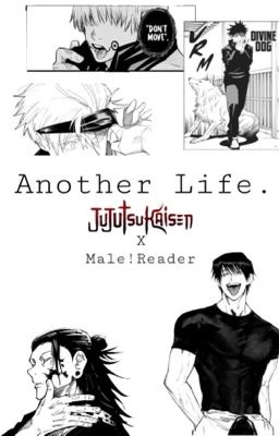 Another life [Jujutsu Kaisen x Male!Reader]